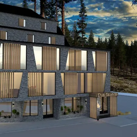 Gondola 亚霍里纳